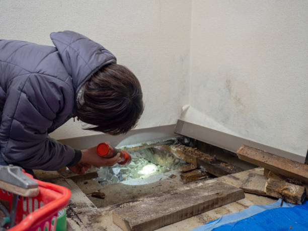 Best Mold Removal for HVAC Installations  in Eagle Lake, MN