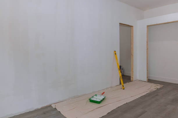 Mold Odor Removal Services in Eagle Lake, MN