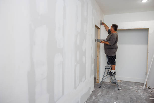 Best Asbestos and Lead Testing During Mold Inspection  in Eagle Lake, MN