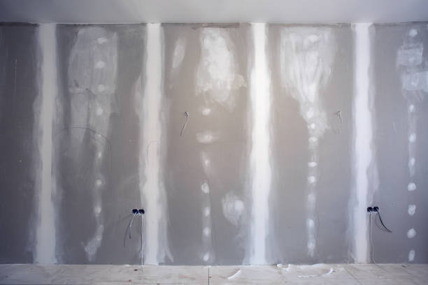 Best Residential Mold Inspection & Testing  in Eagle Lake, MN